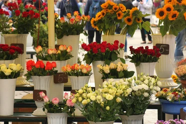 rstede_blumenladen