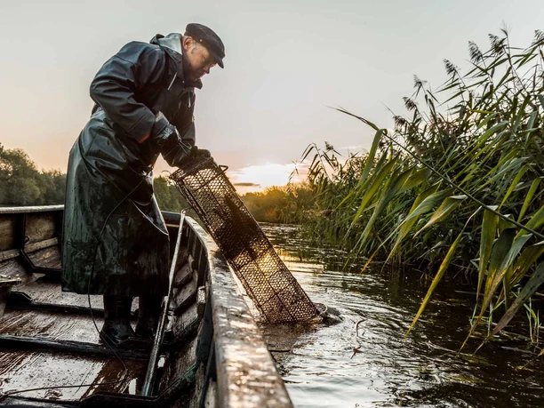 Flussfischer Nölke Flussfischer Nölke