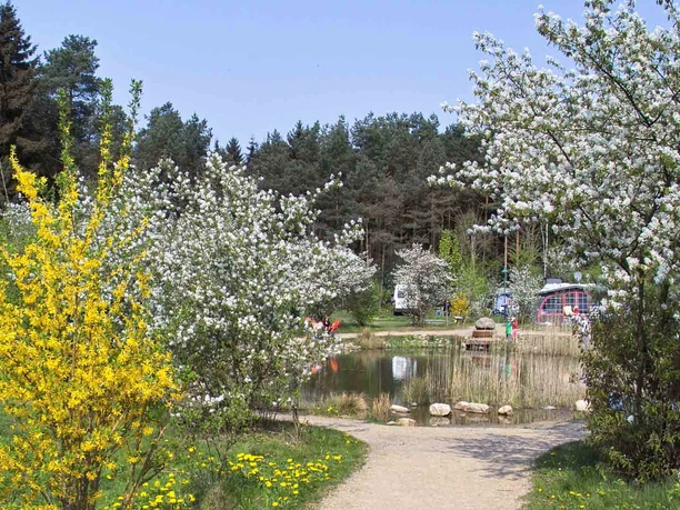 region-celle-suedsee-camp