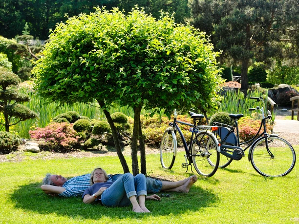 entspannen-unter-baeumchen