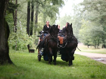 kutsche-november-friesenpferde