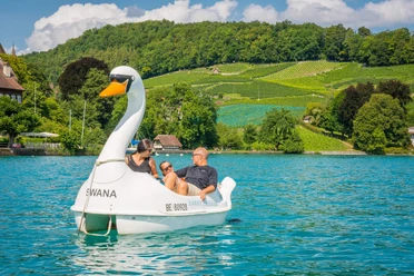 spiez-schwanenpedalon-sommer-thunersee-ausflug-rebberg-panorama-boot-pedalo