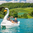 spiez-schwanenpedalon-sommer-thunersee-ausflug-rebberg-panorama-boot-pedalo