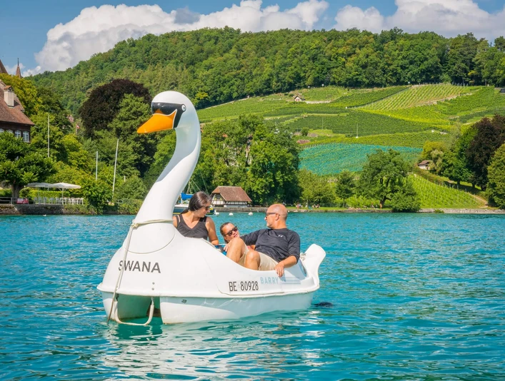 spiez-schwanenpedalon-sommer-thunersee-ausflug-rebberg-panorama-boot-pedalo