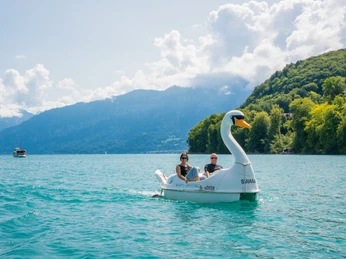 spiez-schwanenpedalo-sommer-thunersee-paar-ausflug-tiefblau-geniessen-boot-pedalo