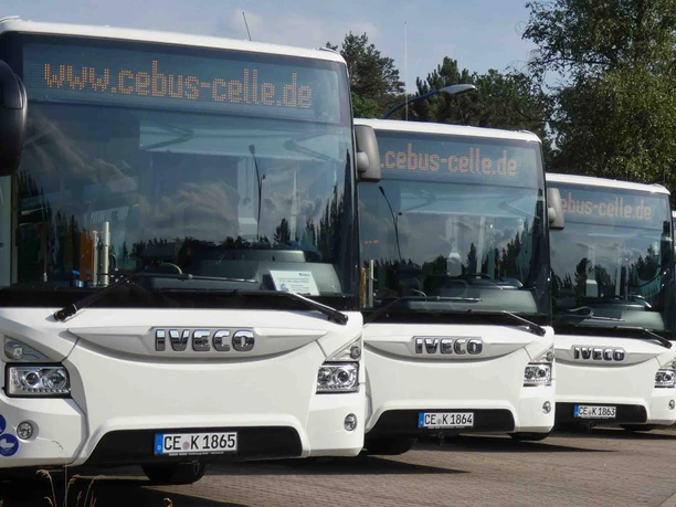 celle-cebus-busfahren-2