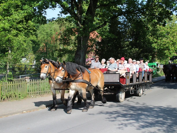 kutsche-heins-undeloh
