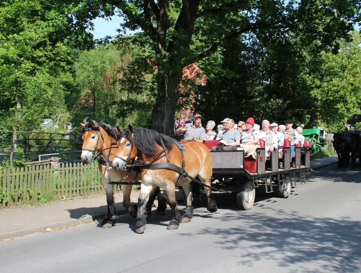 kutsche-heins-undeloh