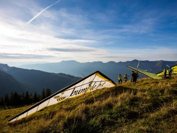 bumblebee-hanggliding-herbst-sonnenschein-adventure