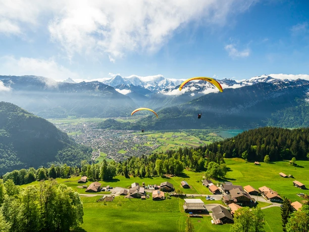 paragliding-interlaken-sommer-beatenberg-sonnenschein