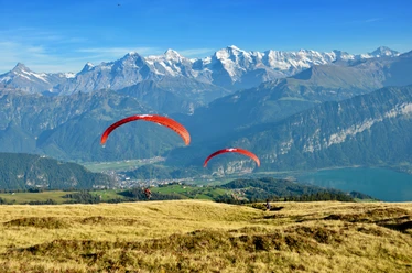 swiss-paragliding-berge-panorama-sommer