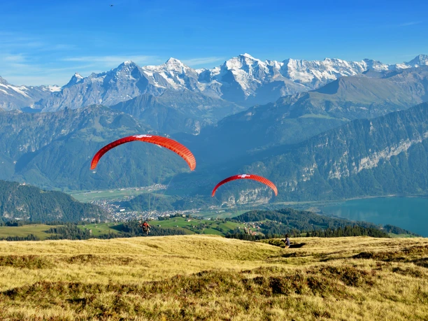 swiss-paragliding-berge-panorama-sommer
