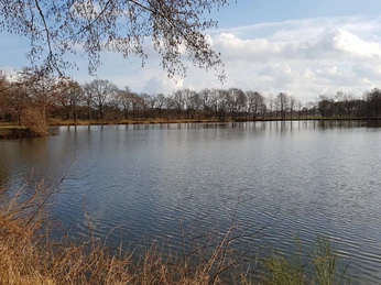 teich-auf-den-linden-fischereiverein