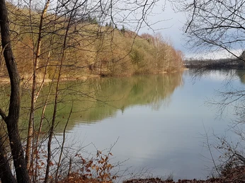 teich-hegekamp-fischereiverein