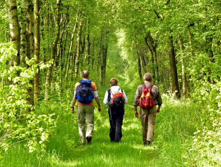 Wanderer im Moorbirkenwald im Tarmstedter Moor Wanderer im Moorbirkenwald im Tarmstedter Moor