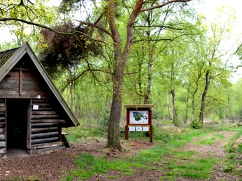 Moorpfad in Tarmstedt Moorpfad in Tarmstedt