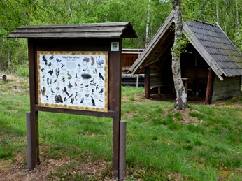 Moorpfad in Tarmstedt am Rothensteiner Damm Moorpfad in Tarmstedt am Rothensteiner Damm