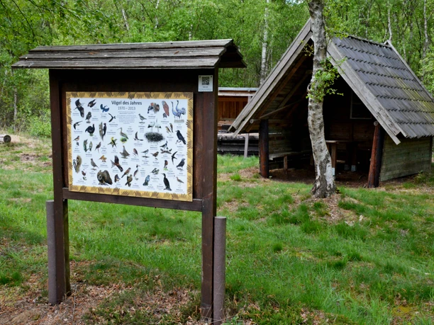 Moorpfad in Tarmstedt am Rothensteiner Damm Moorpfad in Tarmstedt am Rothensteiner Damm