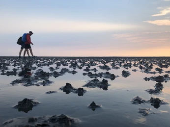 Wattwanderzentrum Ostfriesland