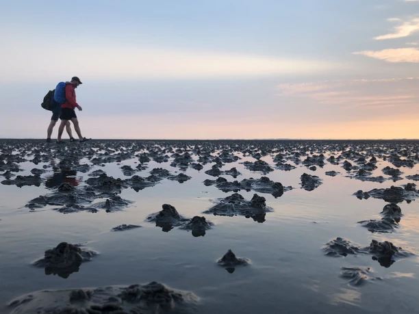Wattwanderzentrum Ostfriesland