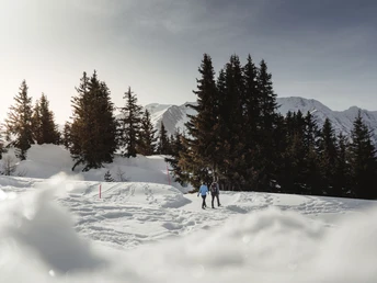 Winterwandern Herrenweg in der Aletsch Arena