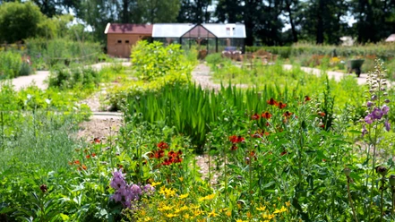 Grüne Beete im LandGarten im LandPark Lauenbrück Grüne Beete im LandGarten im LandPark Lauenbrück