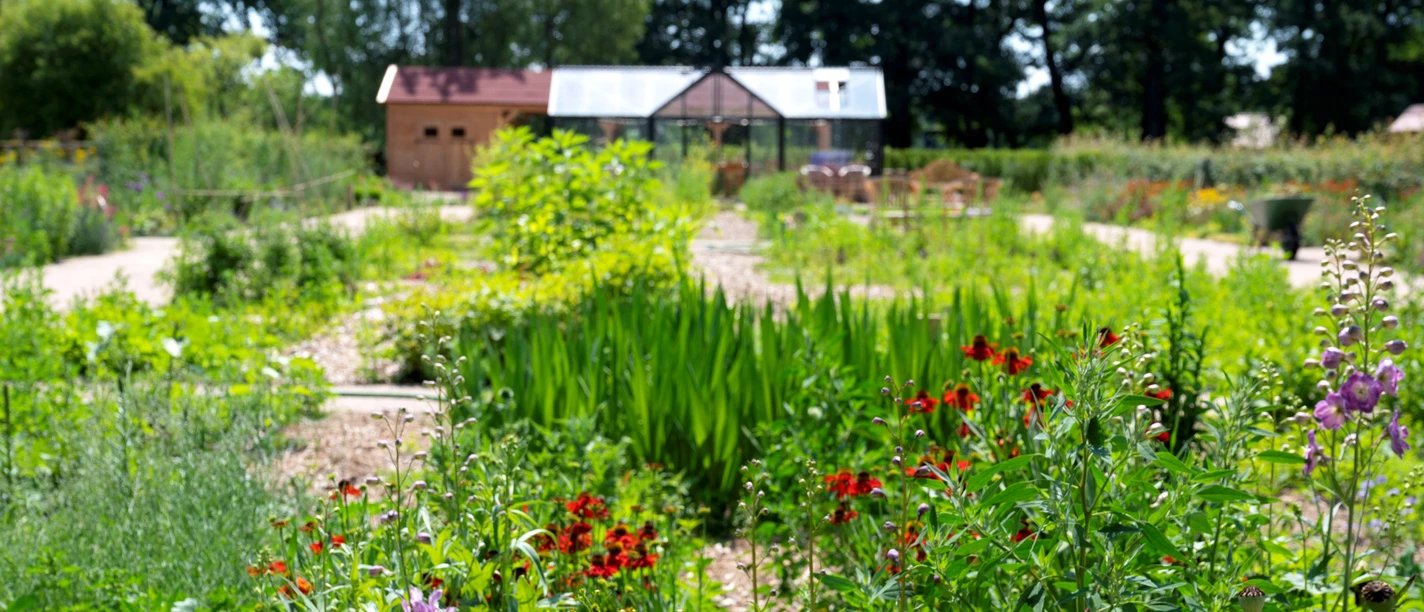 Grüne Beete im LandGarten im LandPark Lauenbrück Grüne Beete im LandGarten im LandPark Lauenbrück