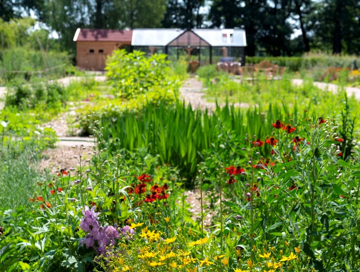 Grüne Beete im LandGarten im LandPark Lauenbrück Grüne Beete im LandGarten im LandPark Lauenbrück