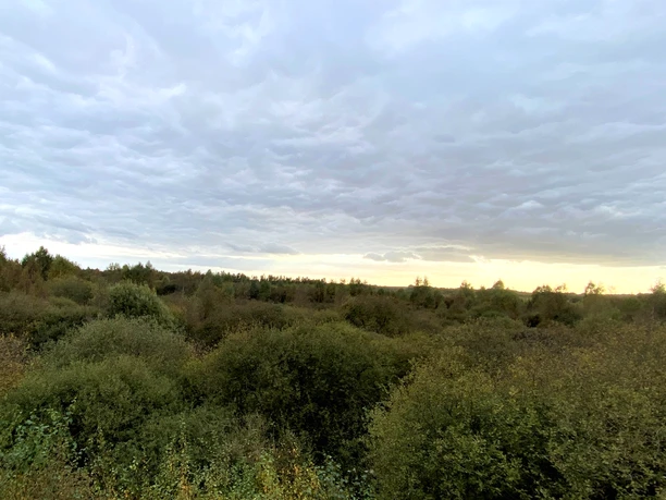 Ausblick vom NABU-Beobachtungsturm im Naturschutzgebiet Steinbecker Moor Ausblick vom NABU-Beobachtungsturm im Naturschutzgebiet Steinbecker Moor
