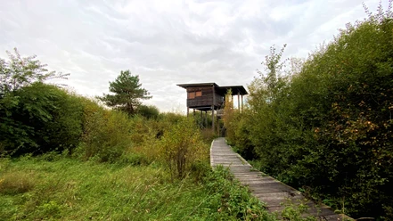 Weg zum NABU-Beobachtungsturm im Naturschutzgebiet Steinbecker Moor Weg zum NABU-Beobachtungsturm im Naturschutzgebiet Steinbecker Moor