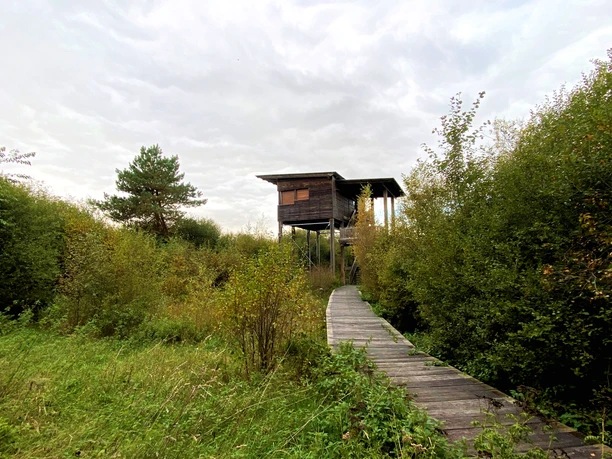 Weg zum NABU-Beobachtungsturm im Naturschutzgebiet Steinbecker Moor Weg zum NABU-Beobachtungsturm im Naturschutzgebiet Steinbecker Moor