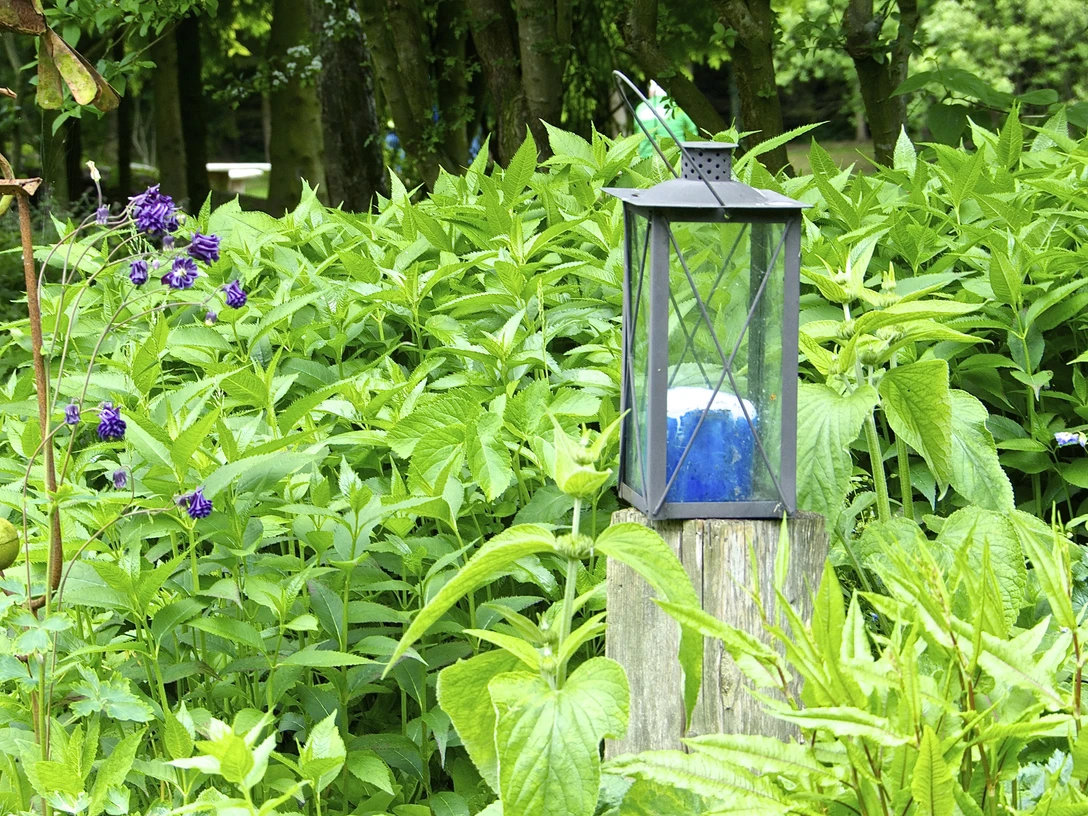 gartenparadies_de_vries