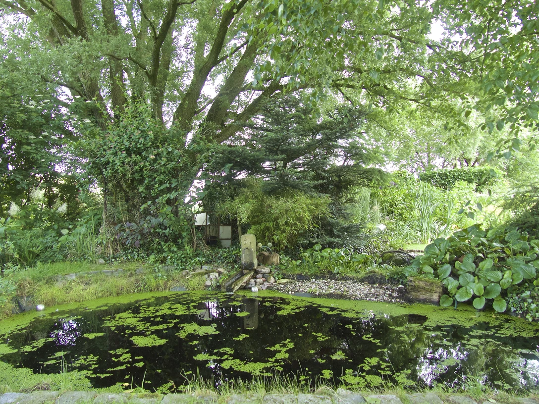 New Cottage Garden Frauke Kummer