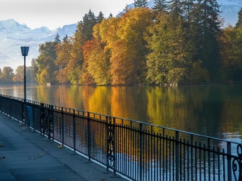 thun-aarequai-herbst-aare-bluemlisalp