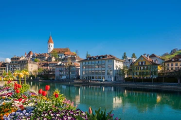 thun-aare-fruehling-blumen-schloss-kirche-spazier-uferwege
