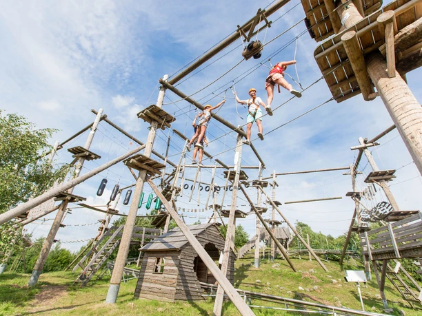 Im Kletterpark balancieren drei Personen über hohe Seilbrücken zwischen mehreren Stationen.