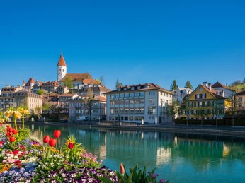 thun-aare-fruehling-blumen-schloss-kirche-spazier-uferwege