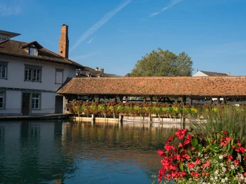 thun-aare-sommer-untere-schleuse-alte-oele