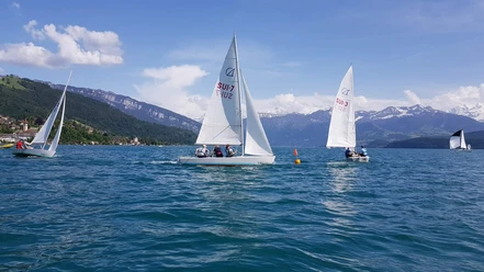 segelschule-thunersee-hilterfingen-segelboote-fruehling
