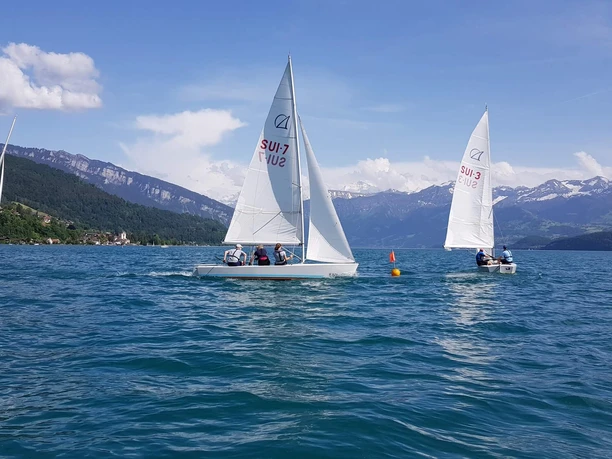segelschule-thunersee-hilterfingen-segelboote-fruehling
