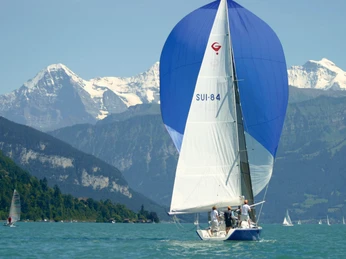 segelschule-thunersee-hilterfingen-segelboot-sommer-eiger-moench-jungfrau