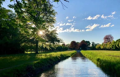 thun-sommer-bonstettenpark-kanal