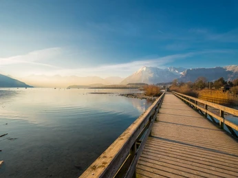 thun-bonstettenpark-panorama-winter-bruecke-niesen-morgen-thunersee-spazier-uferwege