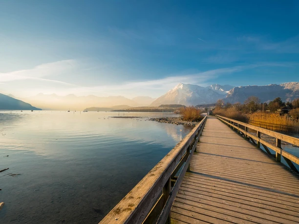 thun-bonstettenpark-panorama-winter-bruecke-niesen-morgen-thunersee-spazier-uferwege