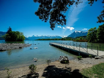thun-sommer-bonstettenpark-steg