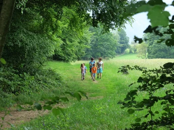 aeschi-schatzsuche-trail-wald-felder-sommer-spuren