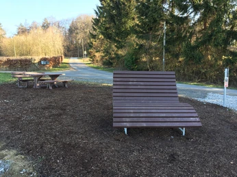 Rastplatz am Barenbergweg Holzbank mit moderner Form steht auf Kiesboden, umgeben von Nadelbäumen und einem Feldweg.