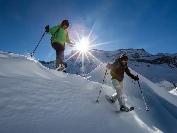 alpinschule-bergfalke-thun-winter-schneeschuh-tour
