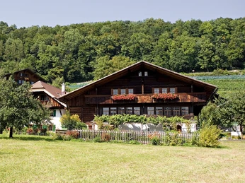 spiez-heimat-und-rebbaumuseum-sommer