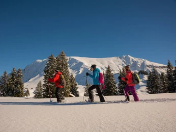 habkern-lombachalp-winter-schneeschuhlaufen-gruppe-tannen-landschaft-gefuehrte-touren-alplandschaften